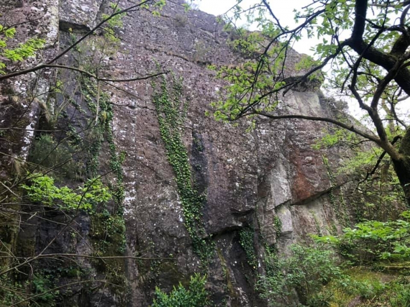 boel